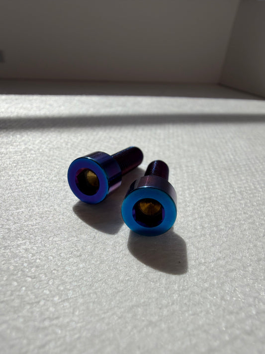 Brake caliper bolts 